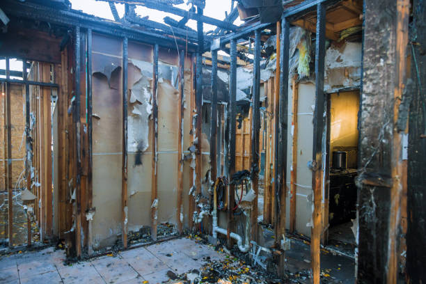 Professional Fire Damage Assessment technician working in Cody, WY